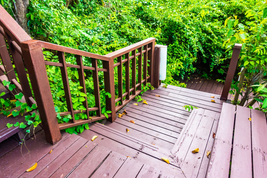 escalier-bois-plein-air-dans-foret(small)